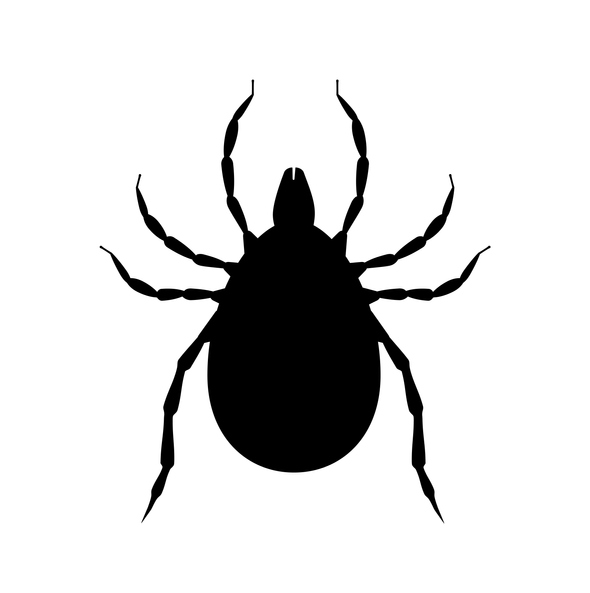 Pest Control for Ticks in Boston