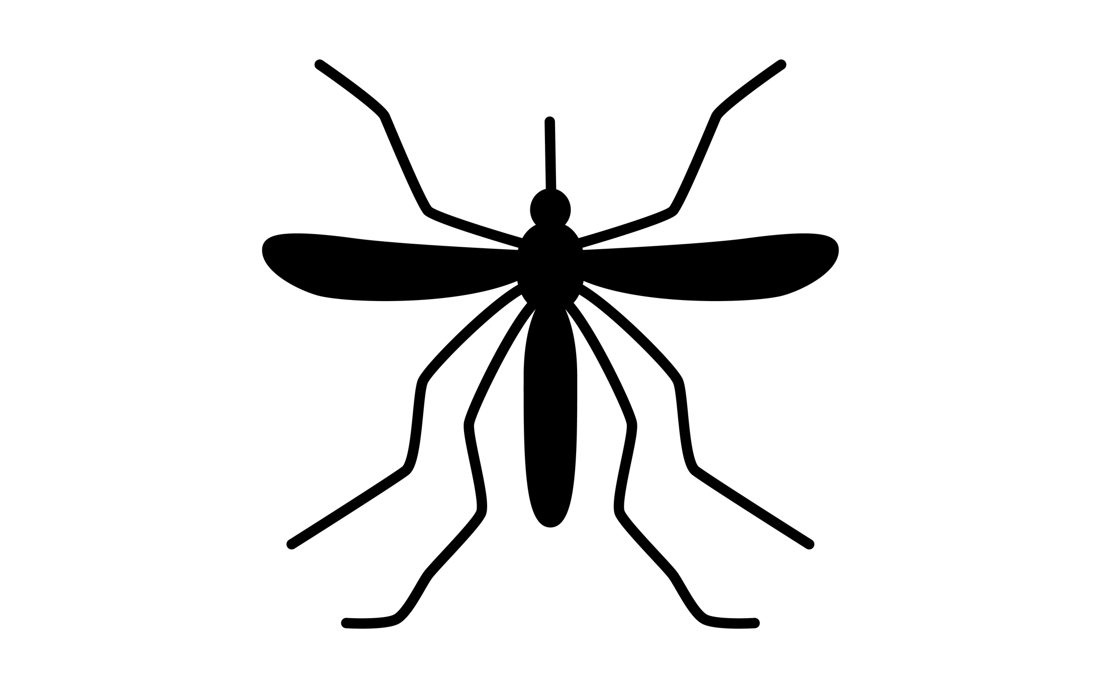 Boston Mosquito Pest Control Services